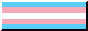 a button of the transgender flag.